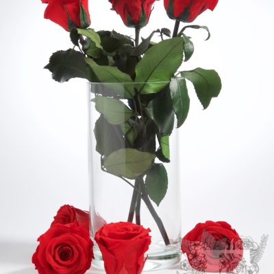 RoseAmor - Rose with Stem 30cm