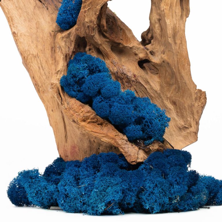 Preserved Moss Wholesale Moss Suppliers UK Fora Nature