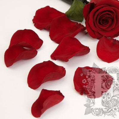 Premium Rose Petals - Bulk - 1KG
